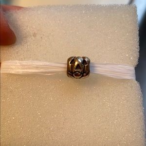 Pandora charm